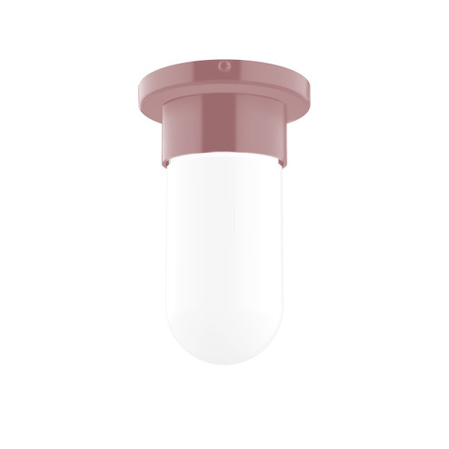 Flush Mounts Glass Down by Montclair Light Works ( 518 | FME040-20 Gambler ) 