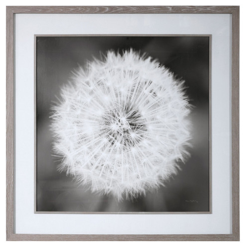 Home Accents Prints/Photography by Uttermost ( 52 | 33711 Dandelion Seedhead ) 
