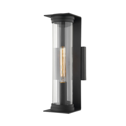Sconces Single Glass by Troy Lighting ( 67 | B1322-TBK Presley ) 