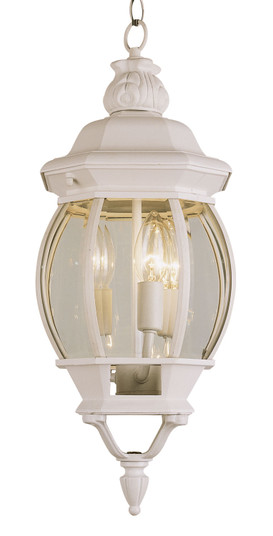 Exterior Hanging by Trans Globe Imports ( 110 | 4066 WH Parsons ) 