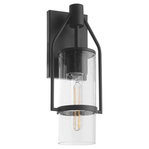 Sconces Single Glass by Quorum ( 19 | 760-16-69 Townsend ) 