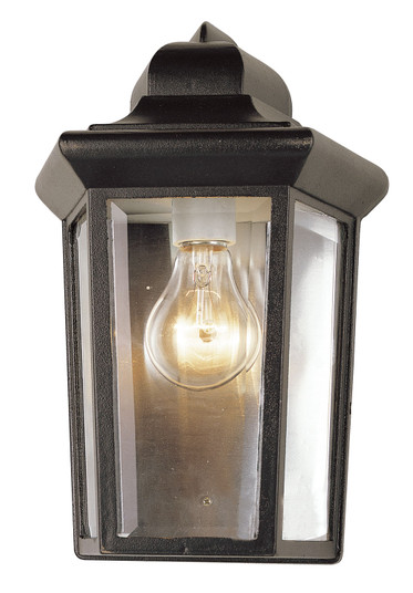 Exterior Wall Mt./Flush by Trans Globe Imports ( 110 | 4483 BK Rendell ) 