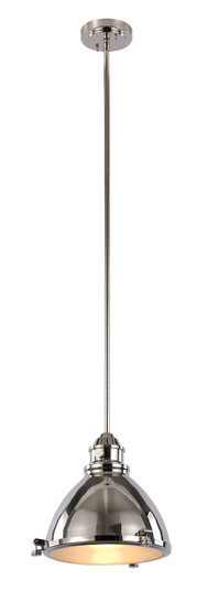 Pendants Metal Shade by Trans Globe Imports ( 110 | PND-1005 PN Performance ) 