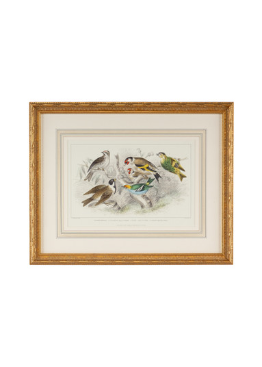 Home Accents Prints/Photography by Wildwood ( 460 | 386062 Chelsea House Misc ) 