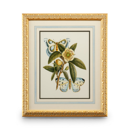 Home Accents Prints/Photography by Wildwood ( 460 | 386095 Chelsea House Misc ) 