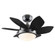 Fans Ceiling Fans by Westinghouse Lighting ( 88 | 7224600 Quince ) 