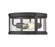 Exterior Ceiling Mount by Z-Lite ( 224 | 569F-BK Roundhouse ) 