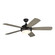 Fans Ceiling Fans by Generation Lighting. ( 1 | 5DISM52AGPD Discus ) 