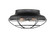 Exterior Ceiling Mount by Millennium ( 59 | 5382-MB ) 