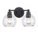 Bathroom Fixtures Two Lights by Trans Globe Imports ( 110 | 22222 BK ) 