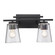 Bathroom Fixtures Two Lights by Trans Globe Imports ( 110 | 22492 BK Iris ) 