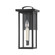 Exterior Wall Mount by Troy Lighting ( 67 | B7521-TBK Eden ) 