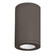 Exterior Ceiling Mount by W.A.C. Lighting ( 34 | DS-CD08-S40-BZ Tube Arch ) 