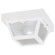 Exterior Ceiling Mount by Westinghouse Lighting ( 88 | 6697500 Exteriors White ) 