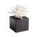 Home Accents Statues/Sculptures by Cyan ( 208 | 10285 ) 