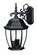 Exterior Wall Mount by Acclaim Lighting ( 106 | 5032BK Wexford ) 
