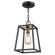 Mini Pendants Open Frame by Acclaim Lighting ( 106 | IN11380ORB Tiberton ) 