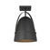Exterior Wall Mount by Designers Fountain ( 43 | D302M-SF-BK Rue ) 
