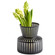 Home Accents Vases/Urns by Cyan ( 208 | 10874 ) 