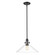Pendants Glass Down by Acclaim Lighting ( 106 | IN20080BK Dwyer ) 
