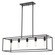 Linear/Island 4 Light + by Acclaim Lighting ( 106 | IN21002BK Cobar ) 