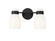 Bathroom Fixtures Two Lights by Millennium ( 59 | 23002-MB Corella ) 