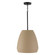 Pendants Glass Down by Capital Lighting ( 65 | 354211SN Della ) 