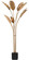 Lamps Floor by Currey and Company ( 142 | 8000-0075 Tropical Collection ) 