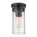Flush Mounts Glass Down by Golden ( 62 | 7011-SF BLK-CLR Winslett ) 