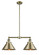 Linear/Island 2 Light Bar by Innovations ( 405 | 209-AB-M10-AB-LED Franklin Restoration ) 