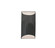 Exterior Wall Mt./Flush by Justice Designs ( 102 | CER-5750W-GRY Ambiance ) 