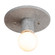 Flush Mounts Exposed Lamps by Justice Designs ( 102 | CER-6285-CONC Radiance Collection ) 