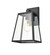 Exterior Wall Mount by Millennium ( 59 | 8021-PBK Grant ) 