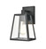 Exterior Wall Mount by Millennium ( 59 | 8041-PBK Grant ) 