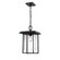 Exterior Hanging by Millennium ( 59 | 2625-PBK Adair ) 