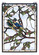 Home Accents Tiffany Windows/Wall Panels by Meyda Tiffany ( 57 | 47966 Lovebirds ) 