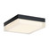 Utility Ceiling by Modern Forms ( 281 | FM-2009-30-BK Matrix ) 