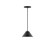 Mini Pendants Metal Shade by Montclair Light Works ( 518 | PEB421-41 Pinnacle ) 