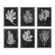Home Accents Prints/Photography by Uttermost ( 52 | 33671 Foliage ) 
