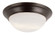 Flush Mounts Bowl Style by Trans Globe Imports ( 110 | 57704 ROB Bolton ) 