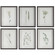 Home Accents Prints/Photography by Uttermost ( 52 | 41459 Forest Finds ) 