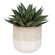 Home Accents Flowers/Greenery by Uttermost ( 52 | 60213 Doha ) 