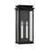 Exterior Wall Mt./Flush by Troy Lighting ( 67 | B2520-FOR Louie ) 