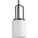 Mini Pendants Drum Shade by Progress Lighting ( 54 | P500410-31M Goodwin ) 