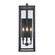 Exterior Wall Mount by Trans Globe Imports ( 110 | 40759 BK Oxford ) 