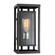 Exterior Wall Mt./Flush by Trans Globe Imports ( 110 | 50222 BK Showcase ) 