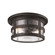 Exterior Ceiling Mount by Troy Lighting ( 67 | C3310-APW Barbosa ) 