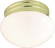 Utility Ceiling by Nuvo Lighting ( 72 | SF77-059 ) 