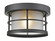 Exterior Ceiling Mount by Z-Lite ( 224 | 556F-BK Exterior Additions ) 