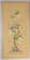Home Accents Prints/Photography by Wildwood ( 460 | 380271 Chelsea House Misc ) 